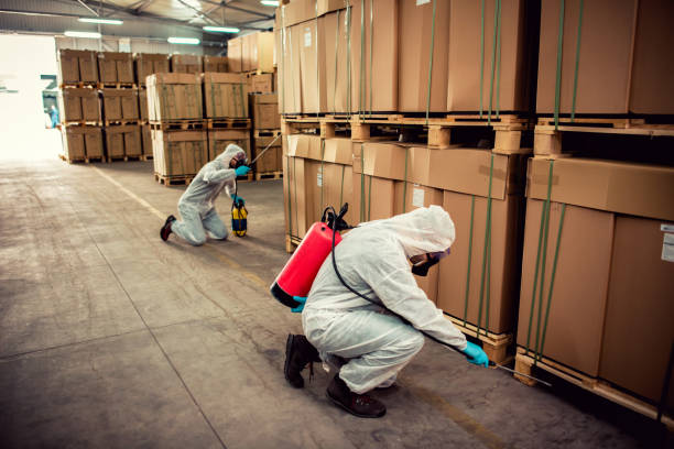 Best Best Pest Control Companies  in Hancock, MD