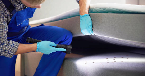 Best Cockroach Control Services  in Hancock, MD