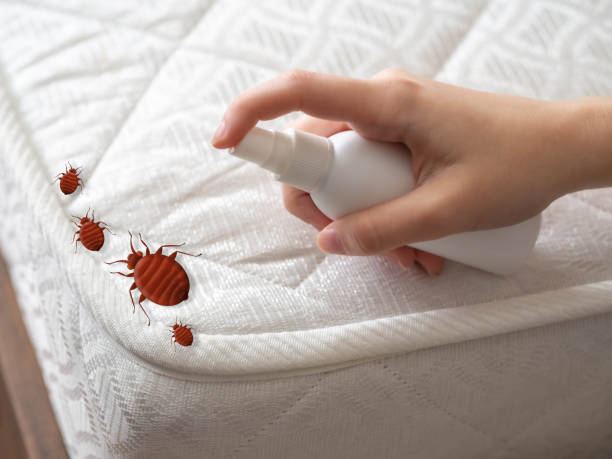Best Pest Inspection Near Me  in Hancock, MD